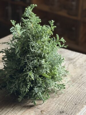 ナチュラルグリーンのクリスマスツリー